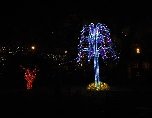 Installazione luminosa a forma di albero durante le Luci d'Artista a Salerno