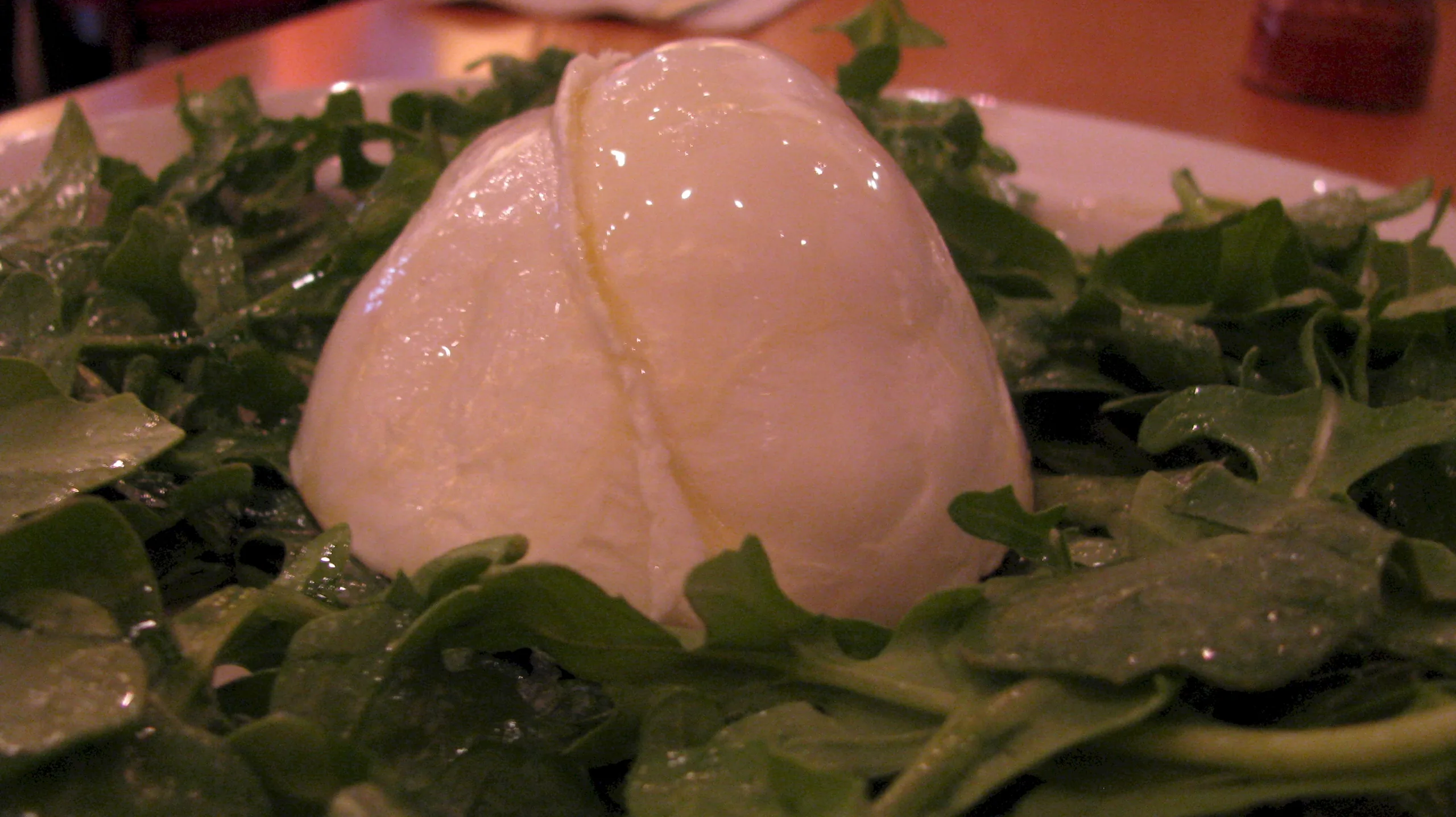 Mozzarella di bufala campana servita fresca su un letto di rucola